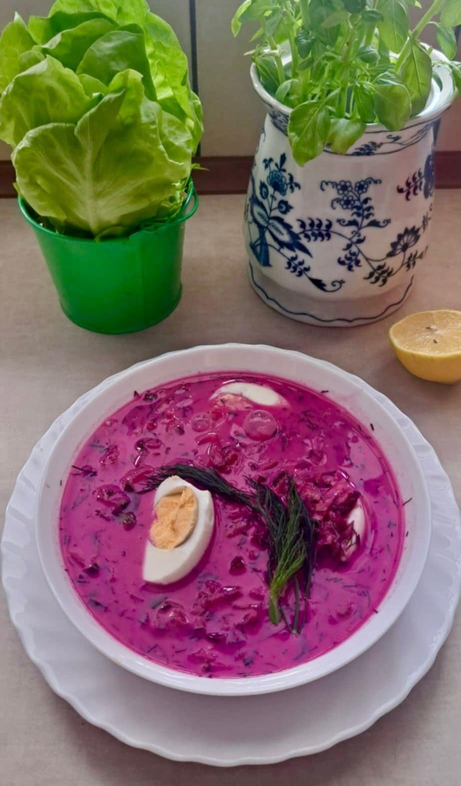 Zdjęcie Villa Cisza