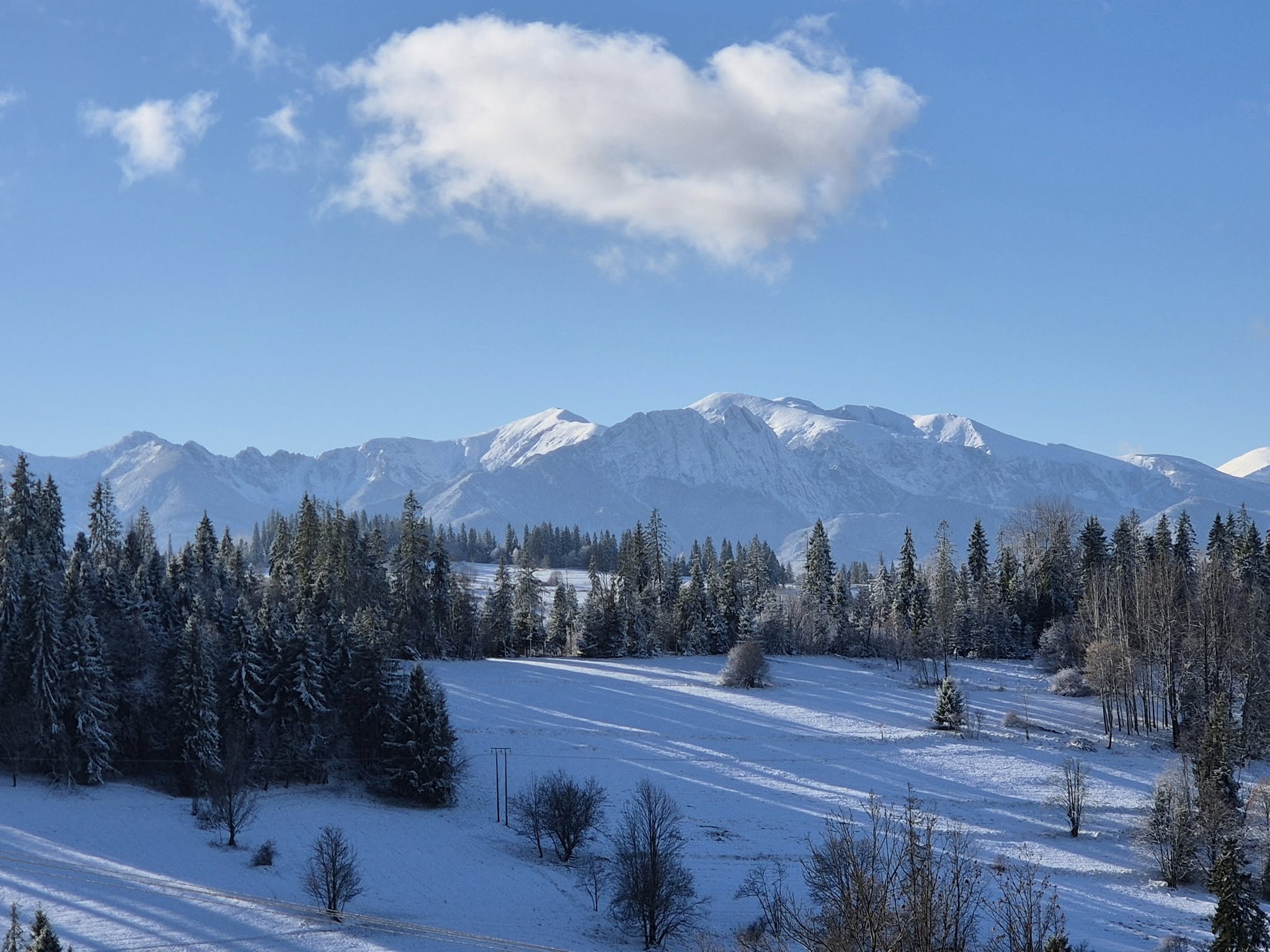 Zdjęcie Villa Cisza